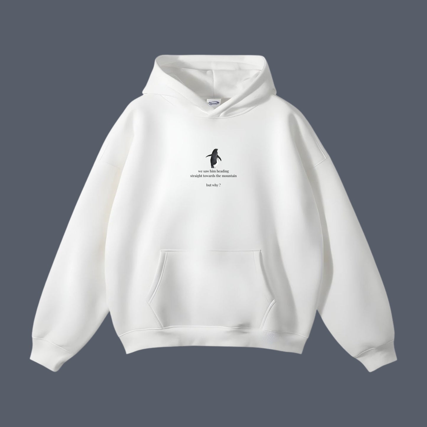 But Why? – Viral penguin Hoodie