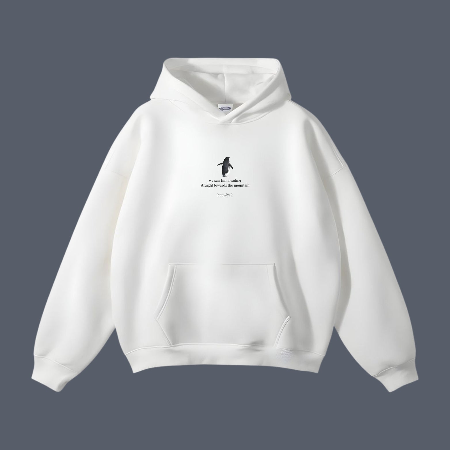 But Why? – Viral penguin Hoodie