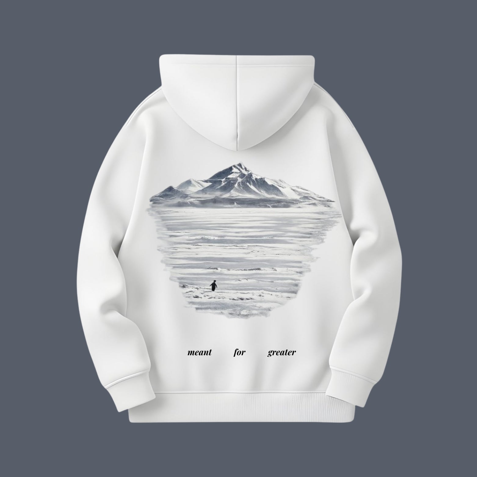 But Why? – Viral penguin Hoodie